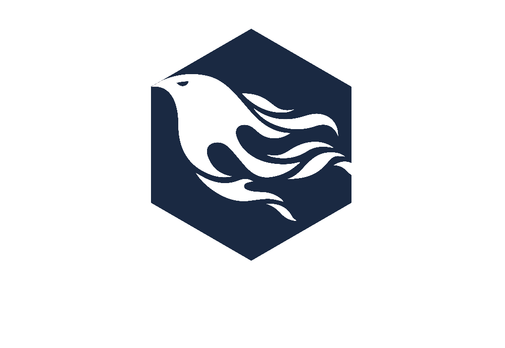 butik okul logo