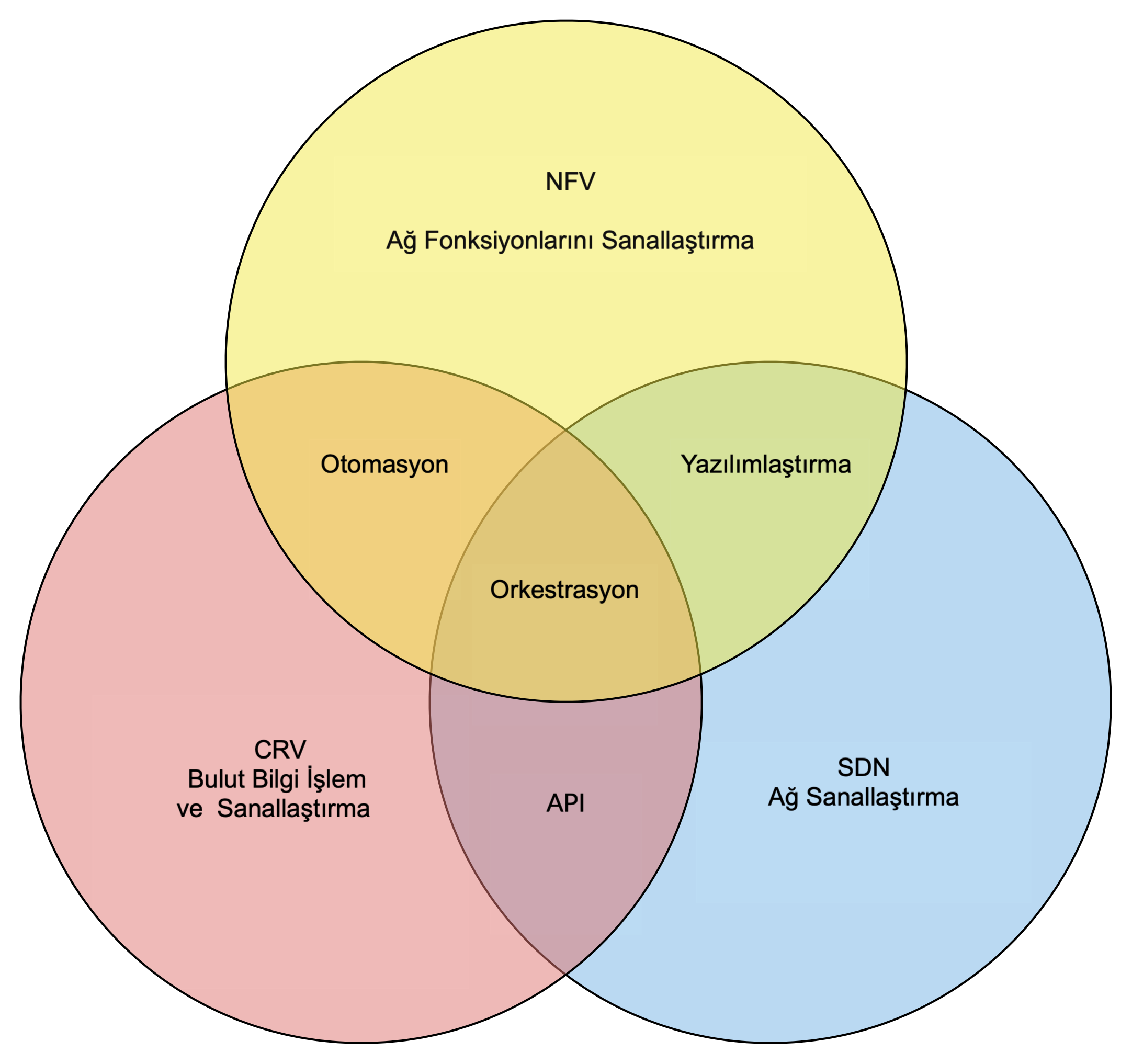 bibatech-venn-schema-tr